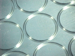 Silicone-ORings